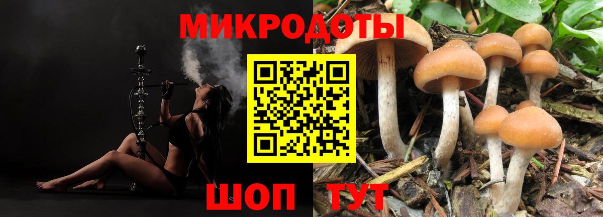 Псилоцибиновые грибы ЛСД  Псилоцибиновые грибы MAGIC MUSHROOMS  Вход с VPN  Севастополь 